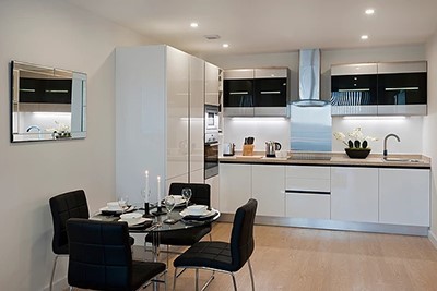 high gloss kitchen cabinet