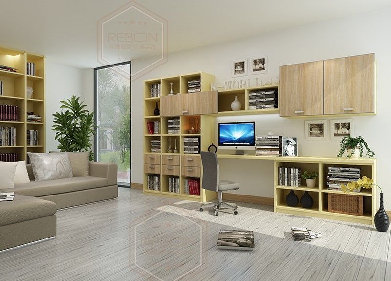 Modern Customized Bookcase