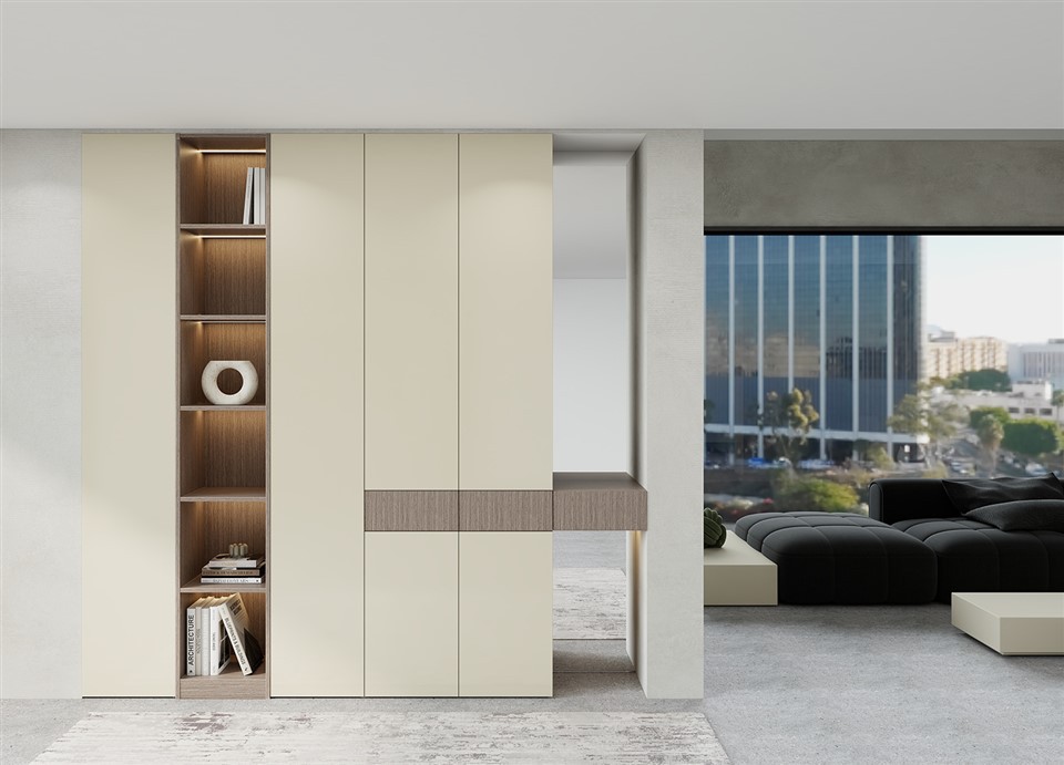 Modern Shoe Cabinet
