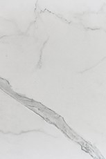 GL2319