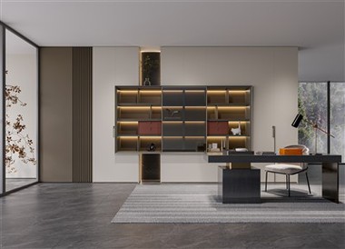 Luxury Study Room Cabinets