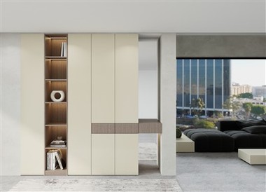 Modern Shoe Cabinet