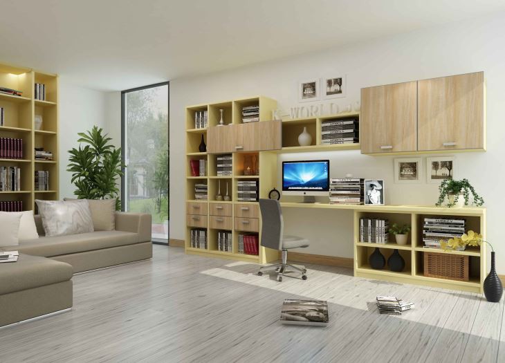 Modern Customized Bookcase
