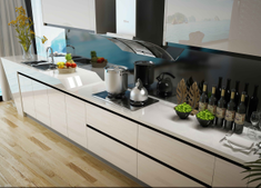 Lacquer Modular Kitchen Cabinets