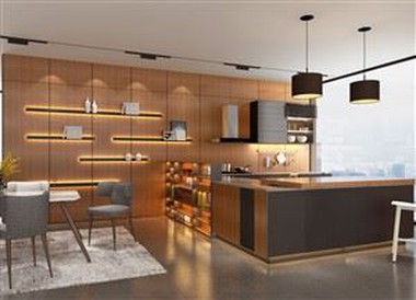 Modern Open Kitchen Cabinet