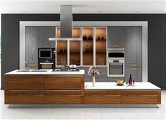 Modern Style Kitchen Cabinets