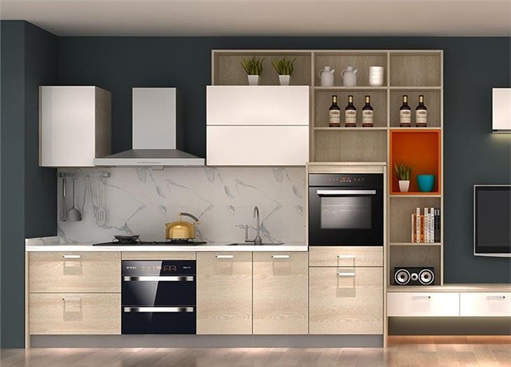 White Acrylic Kitchen Cabinets