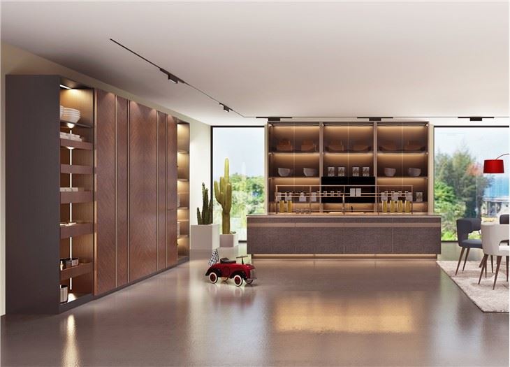 Contemporary Solid Wood Cabinets