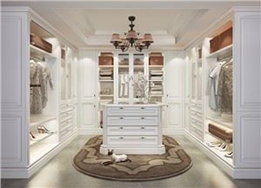 Luxurious Walk In Closet