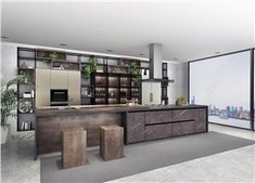 Modern Frameless Kitchen Cabinet