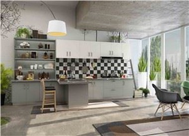 Modern RTA Kitchen Cabinets