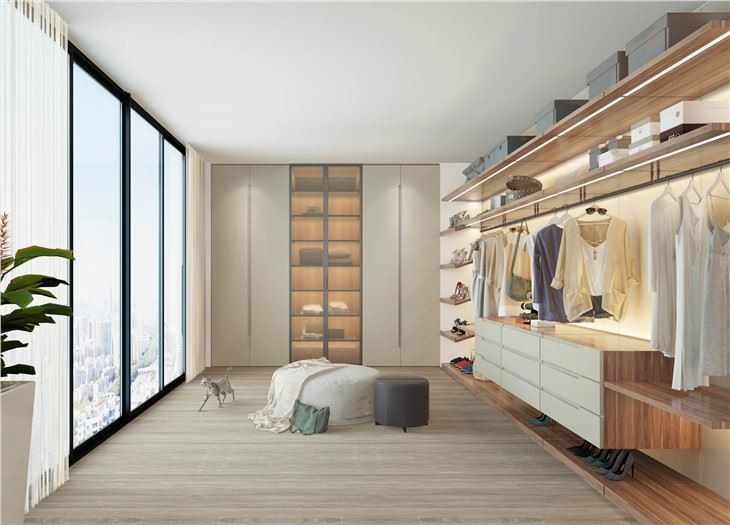 Modern Lacquer Bedroom Closet