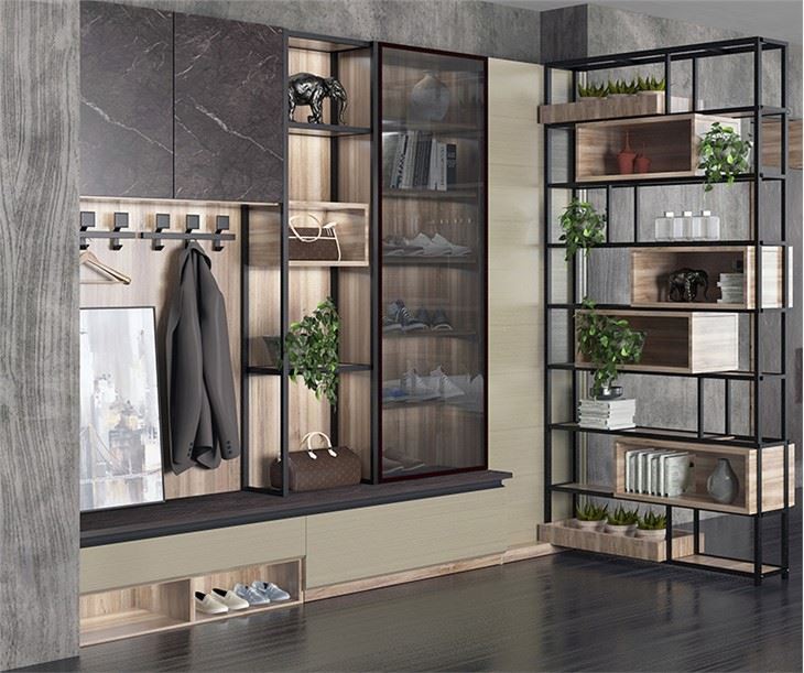 Modern Entrance Cabinet