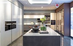 Durable Lacquer Kitchen Cupboard