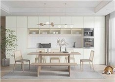 Polyester Kitchen Cabinet