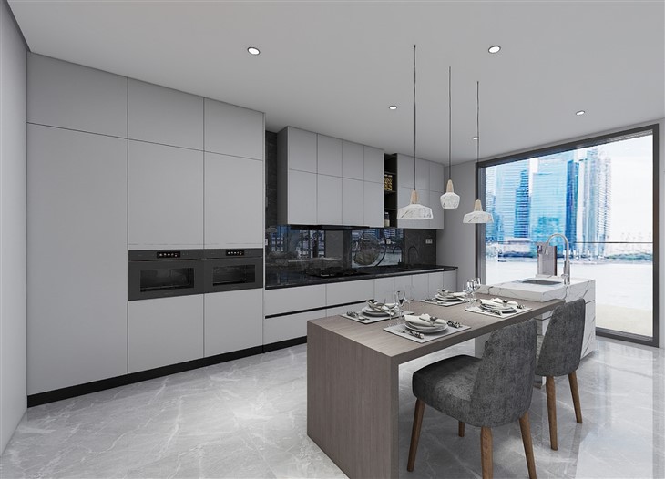 Contemporary Grey Kitchen Cabinets
