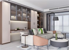 Living Room Office Combination