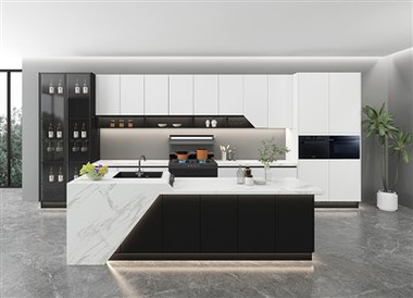 White Matte Kitchen Cabinet